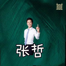 张哲