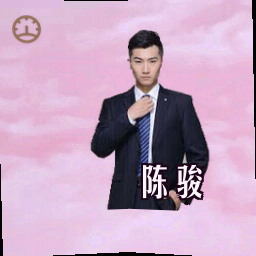 陈骏